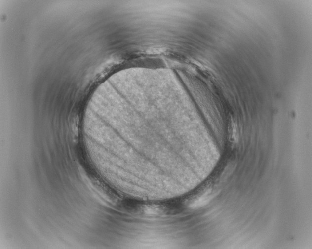 X0000088190264200706051214