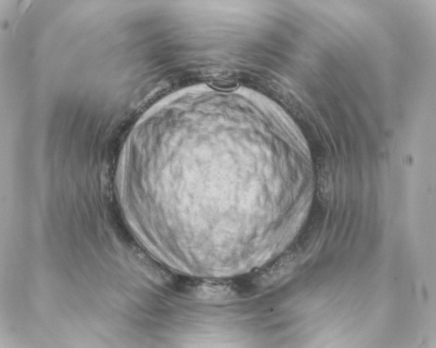 X0000088190270200706051214