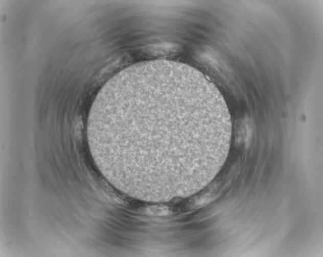 X0000088190279200706051214