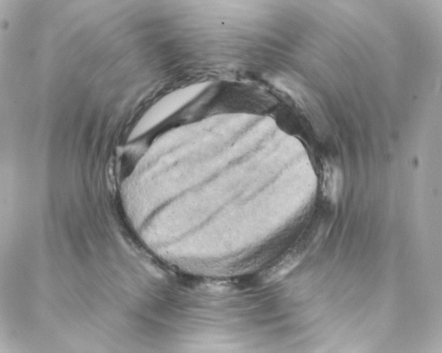 X0000088190280200706051214
