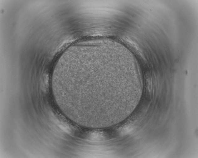 X0000088190308200706051213