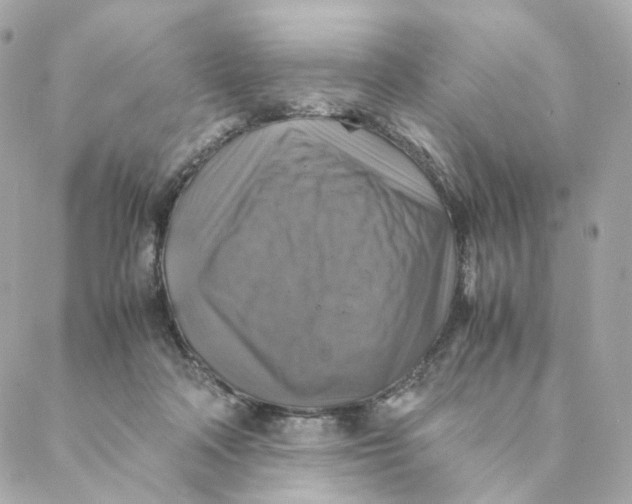 X0000088190314200706051213
