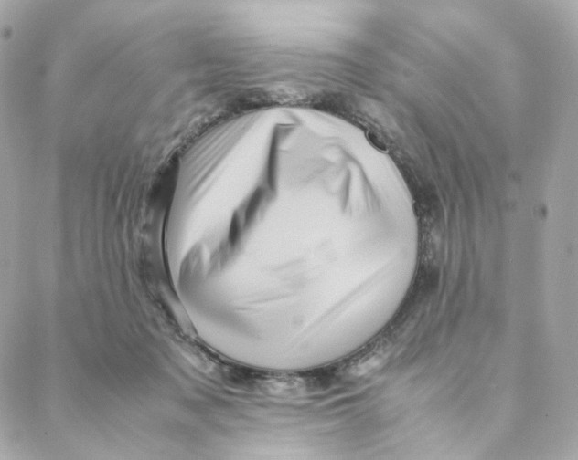 X0000088190317200706051213