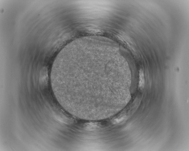 X0000088190320200706051213