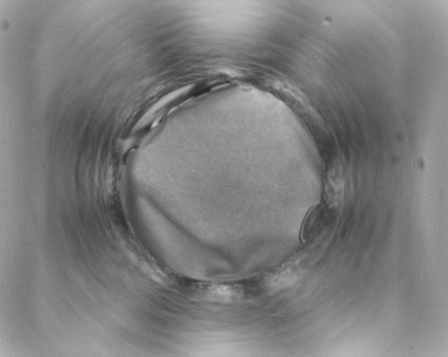 X0000088190330200706051213
