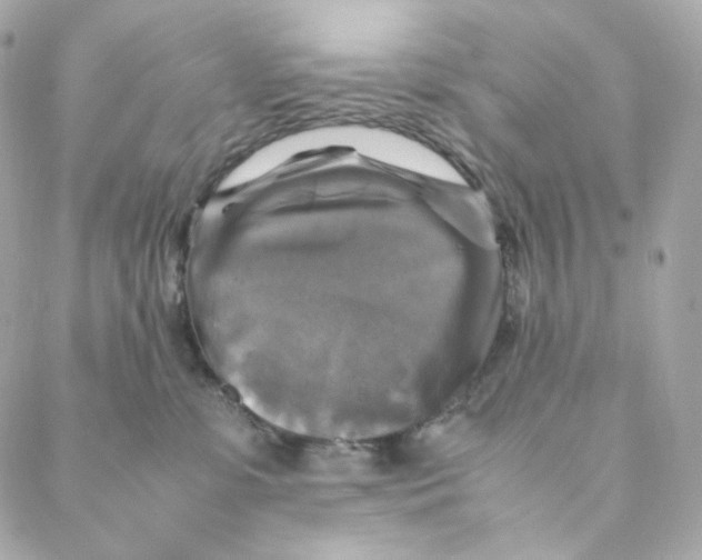 X0000088190331200706051213