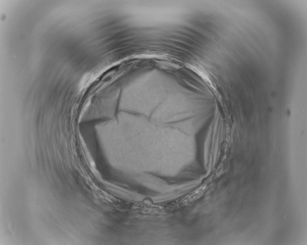 X0000088190337200706051212