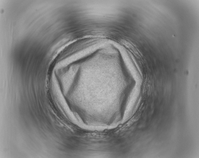 X0000088190338200706051212