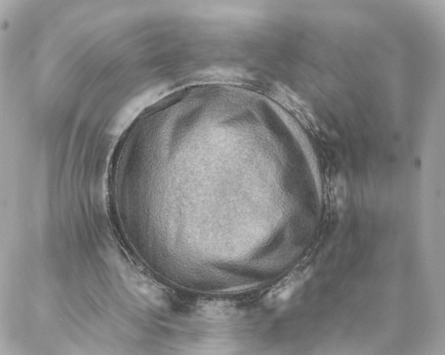 X0000088190340200706051212