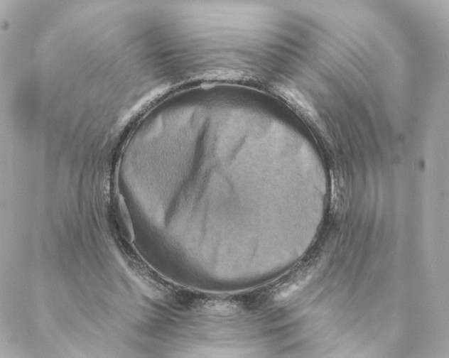 X0000088190348200706051212