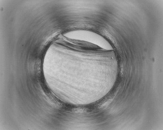 X0000088190356200706051212