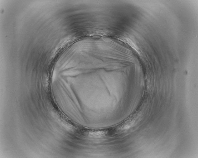 X0000088190357200706051212