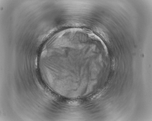 X0000088190358200706051212