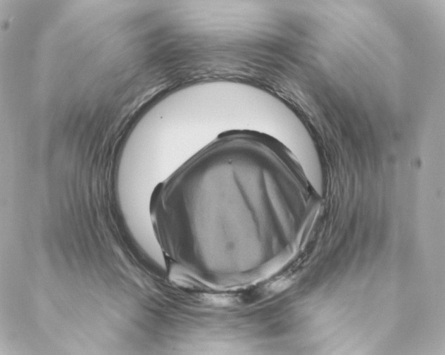 X0000088190360200706051212