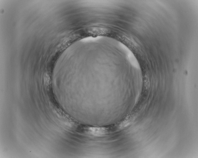 X0000088190371200706051213