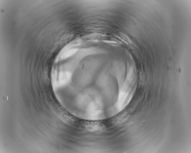 X0000088190377200706051213