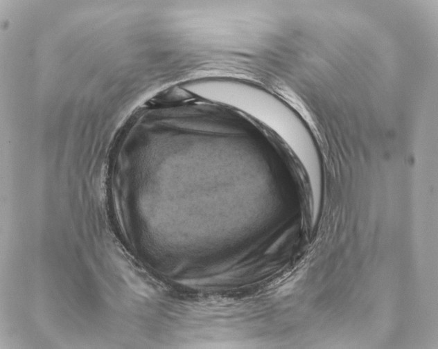 X0000088190387200706051212