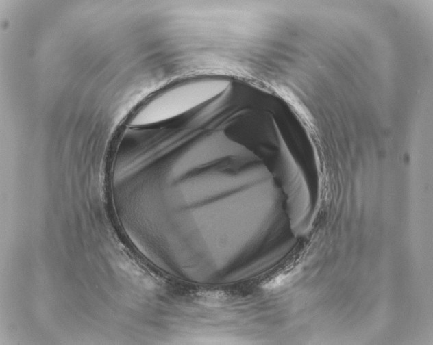 X0000088190391200706051212