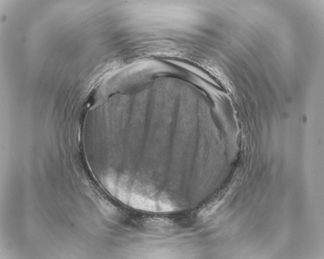 X0000088190397200706051212