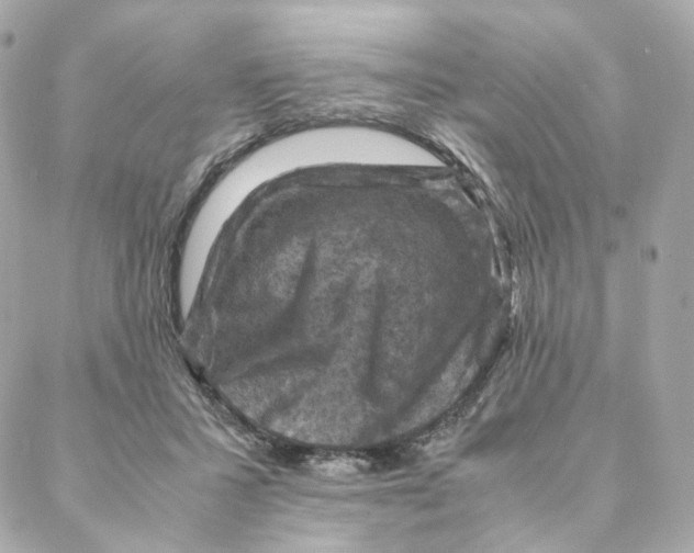 X0000088190407200706051212