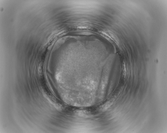 X0000088190408200706051212