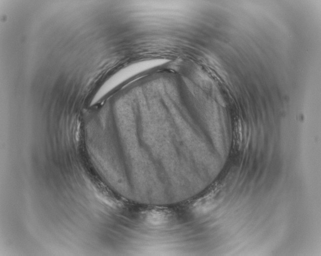 X0000088190412200706051212