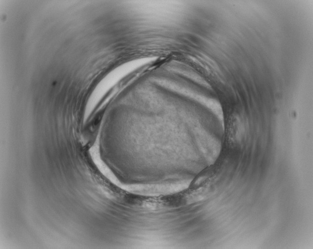 X0000088190420200706051211