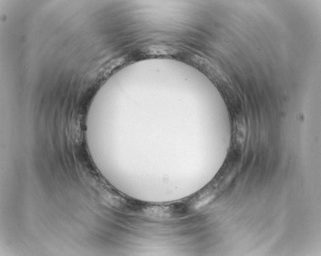 X0000088190422200706051211
