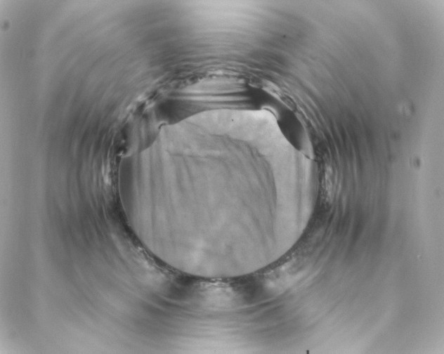 X0000088190424200706051211