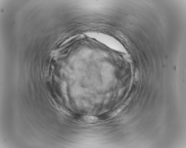 X0000088190429200706051211