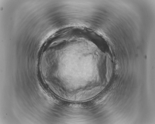 X0000088190440200706051211