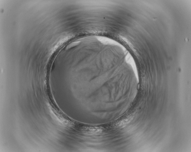 X0000088190443200706051211