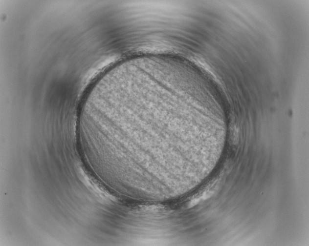 X0000088190446200706051211