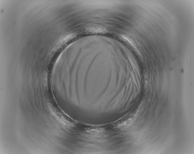 X0000088190447200706051211