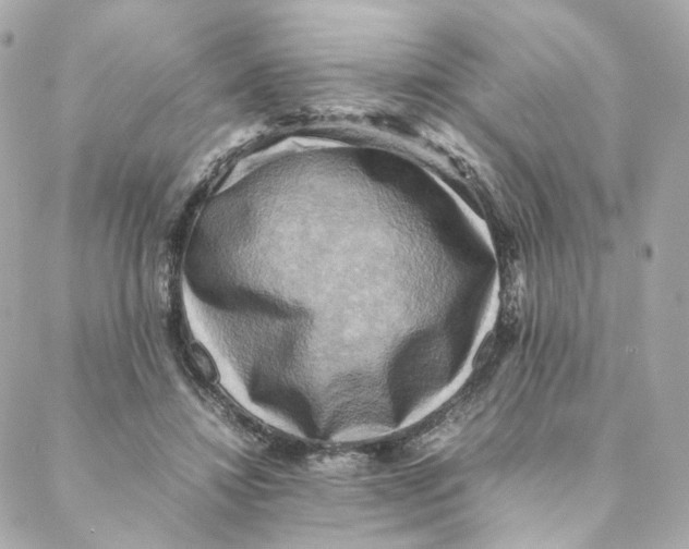 X0000088190452200706051211