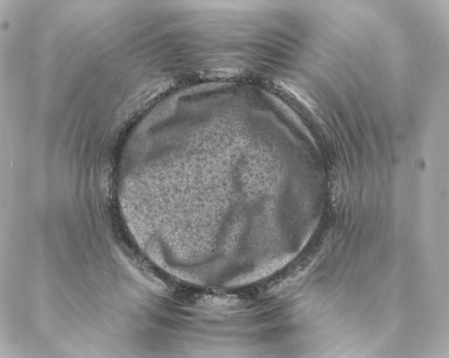 X0000088190455200706051211