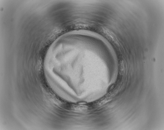 X0000088190463200706051211