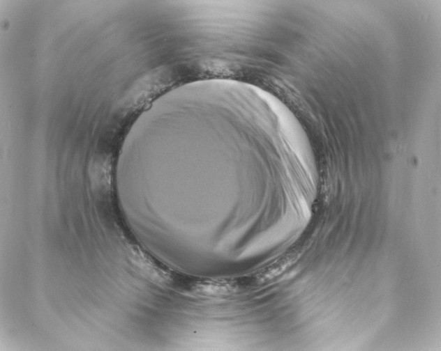 X0000088190466200706051211