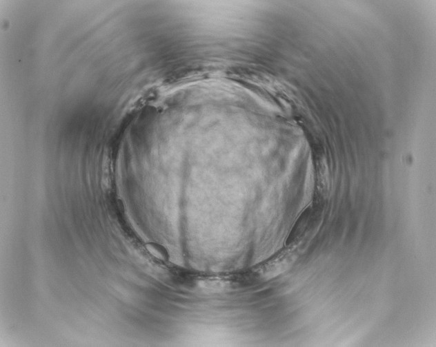 X0000088190470200706051211