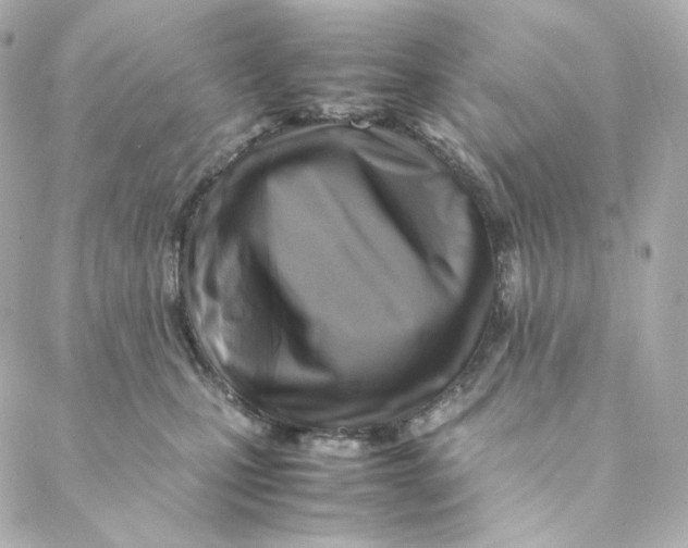 X0000088190471200706051211