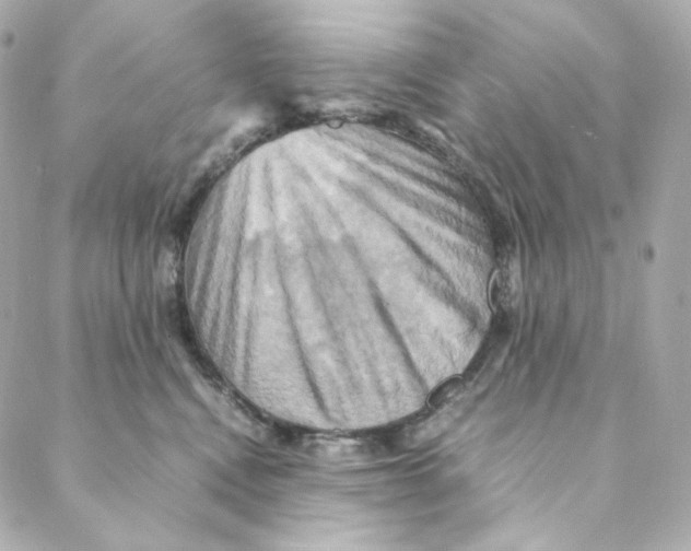 X0000088190472200706051211