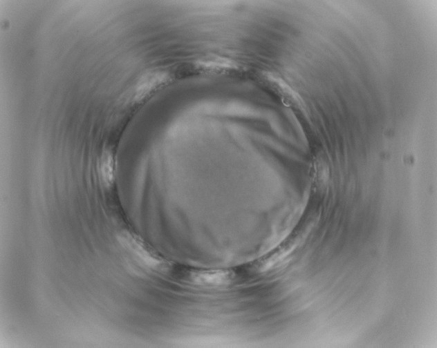 X0000088190479200706051211