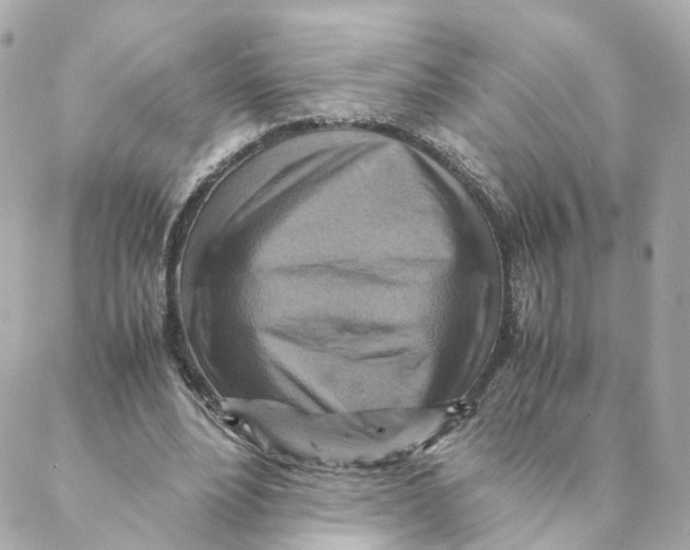X0000088190488200706051210