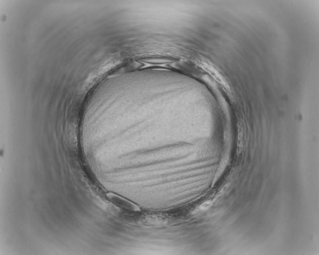 X0000088190489200706051210