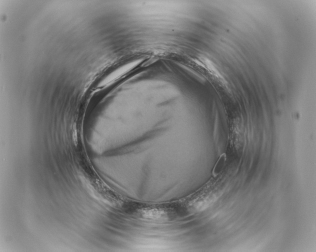 X0000088190500200706051210