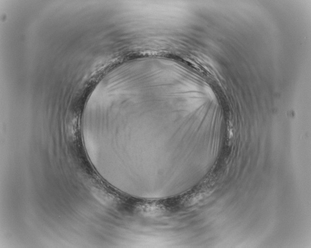 X0000088190503200706051210