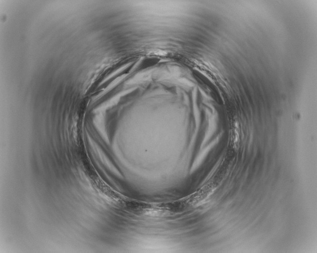 X0000088190504200706051210