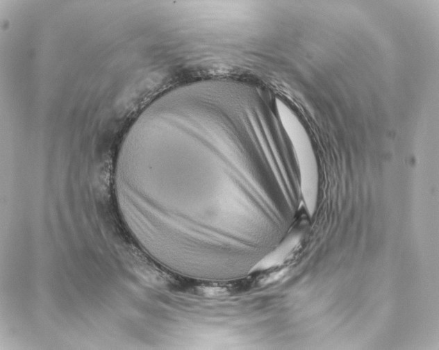 X0000088190509200706051210