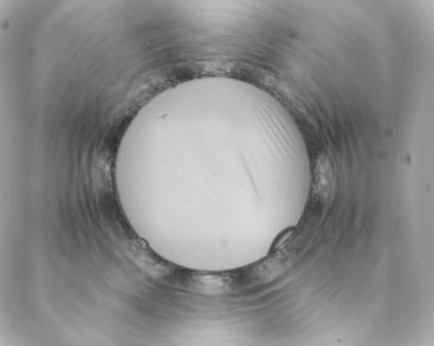 X0000088190522200706051210
