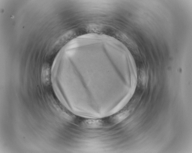 X0000088190526200706051210